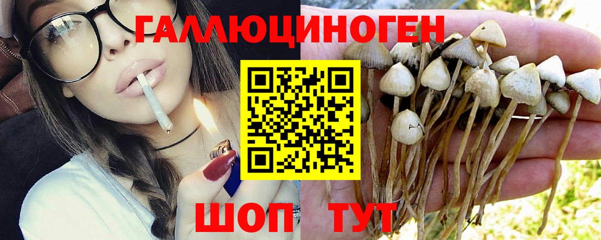 Клин  Галлюциногенные грибы MAGIC MUSHROOMS  закладки  Вход с VPN 