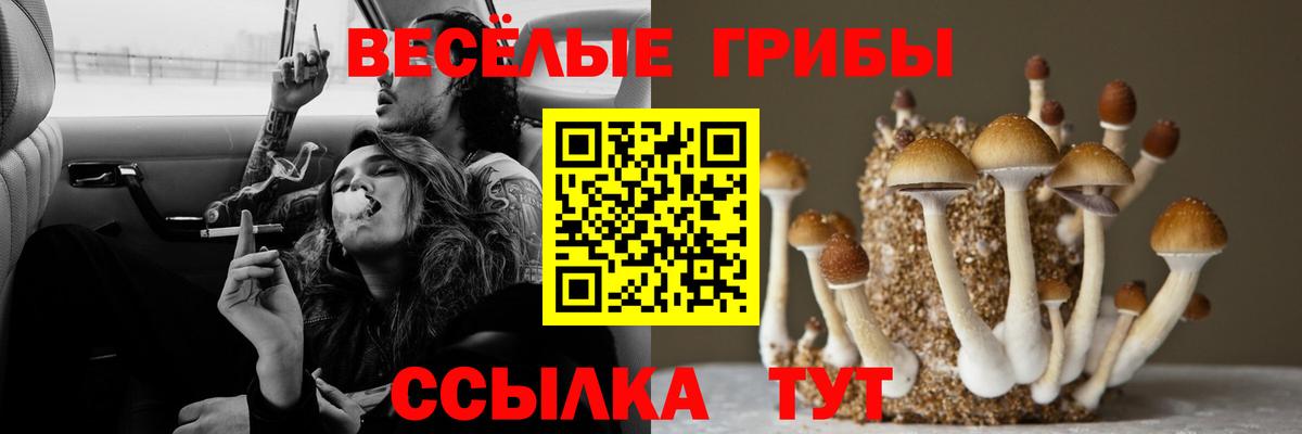 Галлюциногенные грибы мухоморы Клин